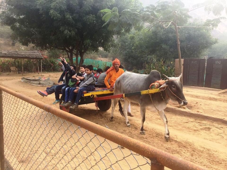 lohagarh-farms-sohna-road-gurgaon