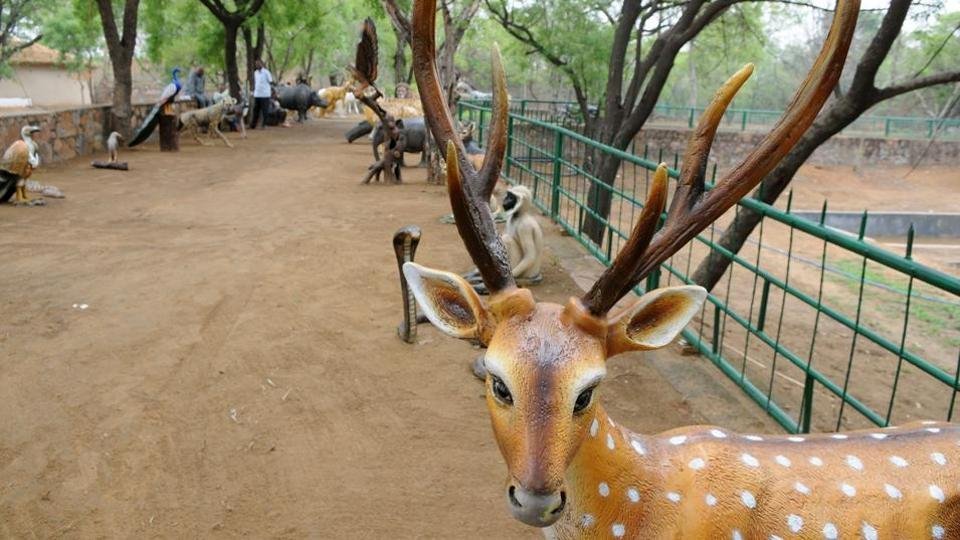 nature camp bhondsi gurgaon