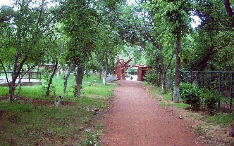 nature camp bhondsi