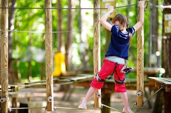 Obstacle Park A Perfect Picnic Spot In Gurgaon