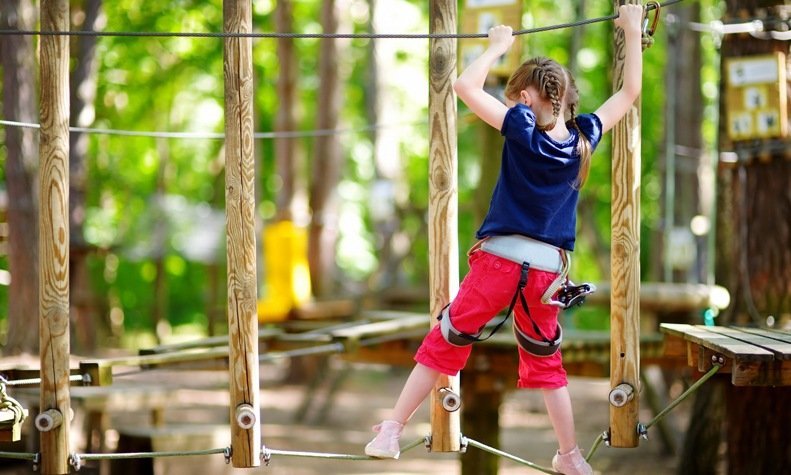 Obstacle Park A Perfect Picnic Spot In Gurgaon