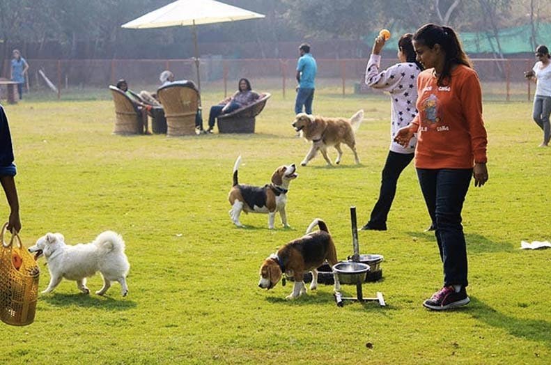 off the leash gurgaon