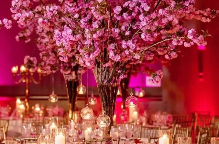 Got decor on your mind? Paper Plumes is the answer!
