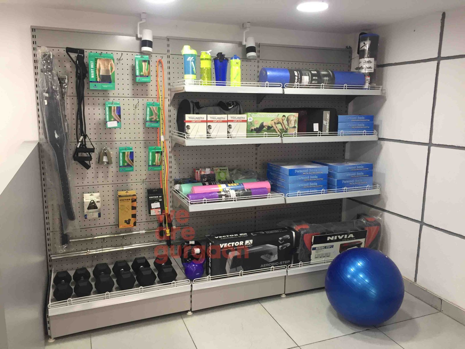reach-fitness-store-sector-50-gurgaon reach-fitness-store-sector-50-gurgaon