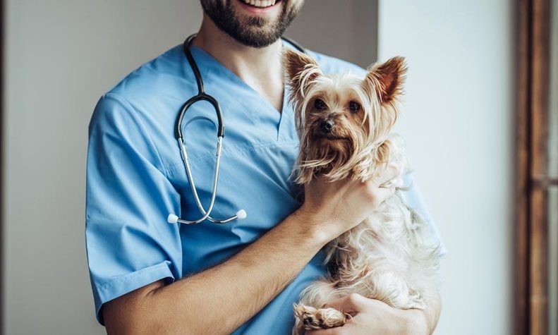 best pet clinics gurgaon vetopia-pet-clinic-surgery-centre-gurgaon